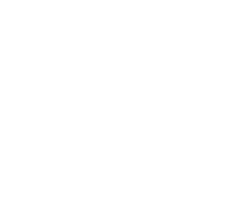 NV Development